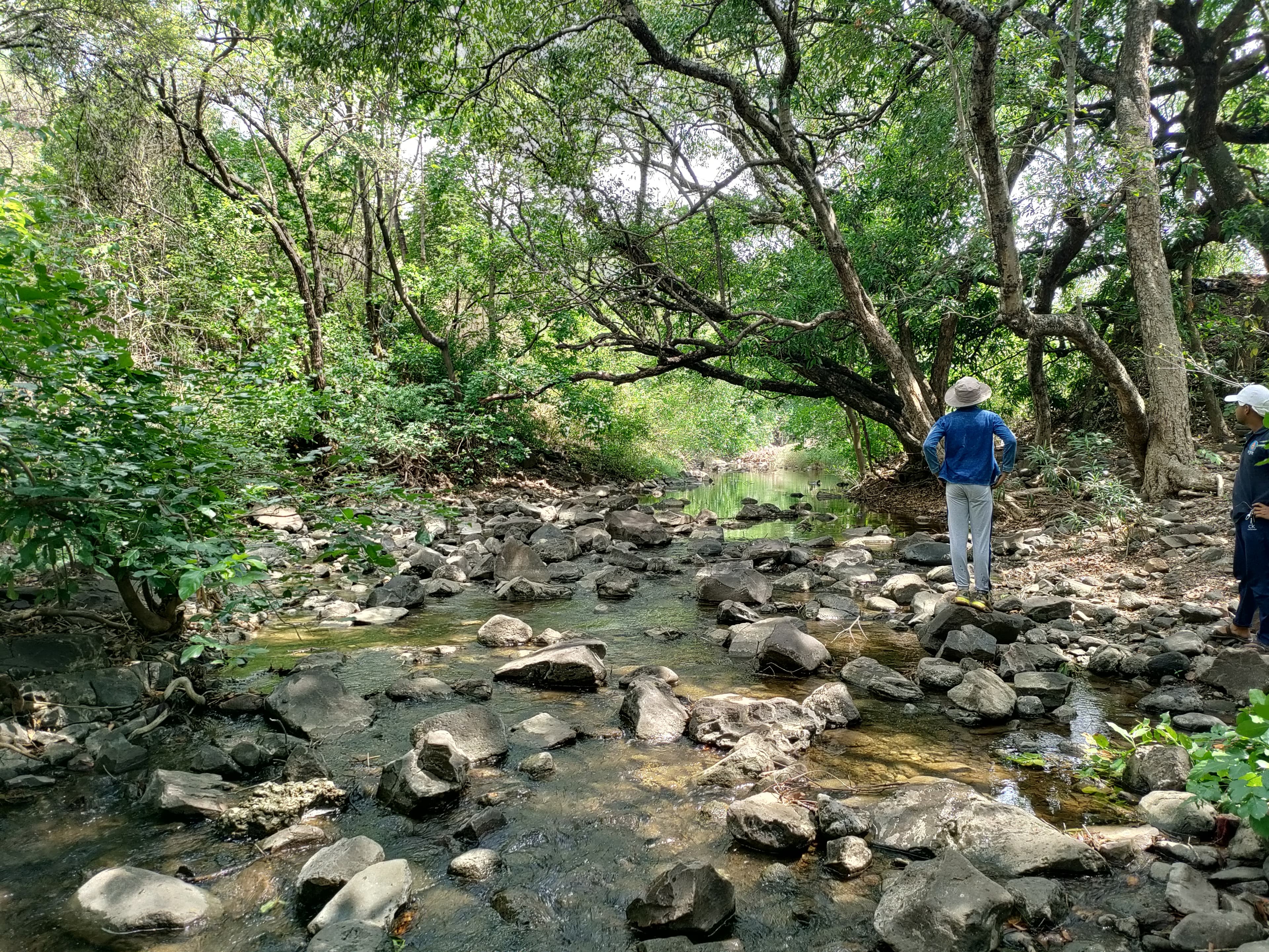 Ved exploring the biodiversity