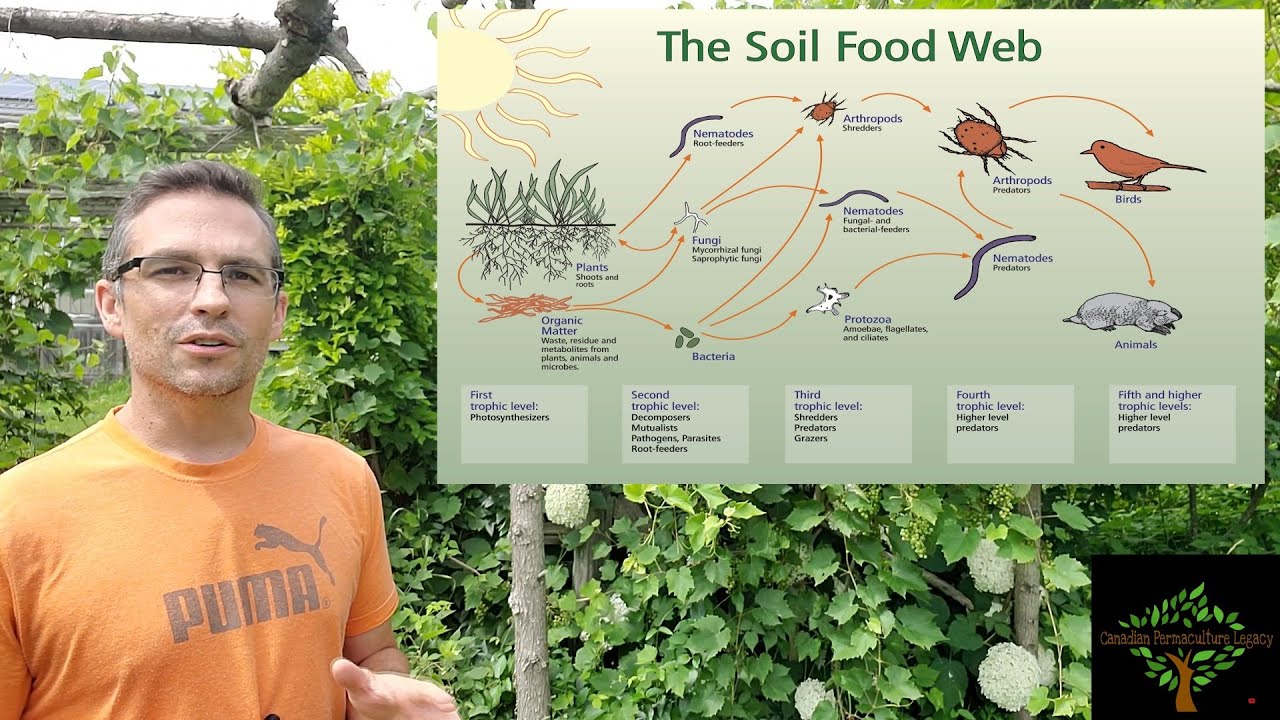 A complete guide to soil microbiology