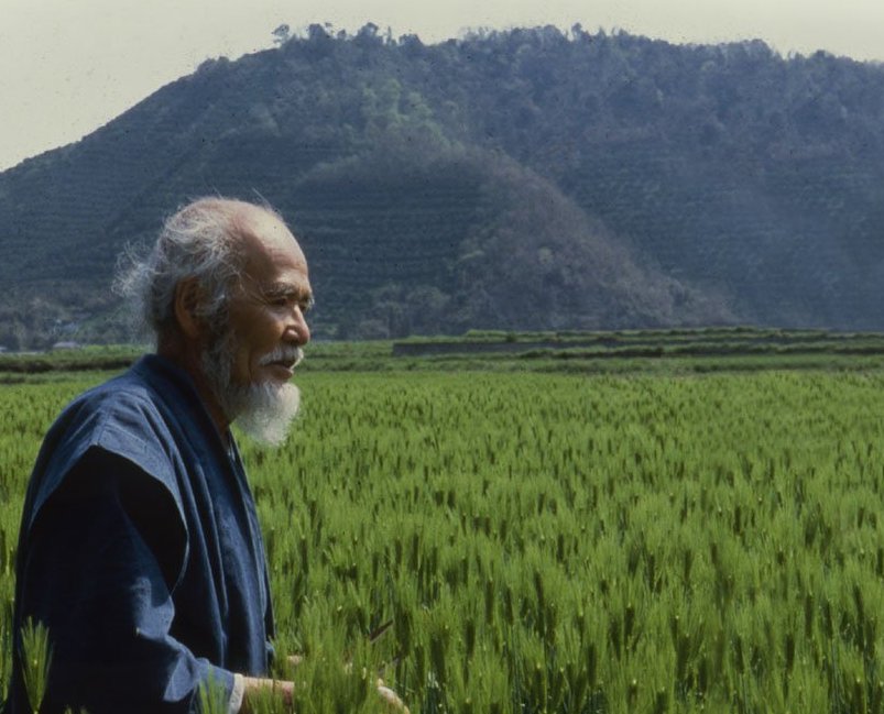 One Straw Revolution