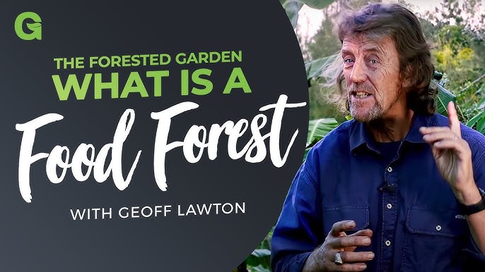 What is a Food Forest?